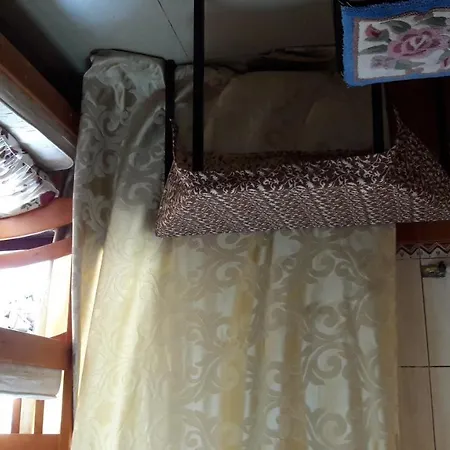 بيت شباب Teremok
